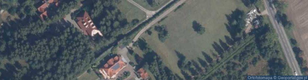 Zdjęcie satelitarne Pod Brzozą