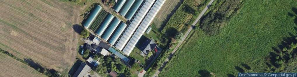 Zdjęcie satelitarne Pizzeria PRL Maciej Krzepkowski Andrzej Rozalewicz