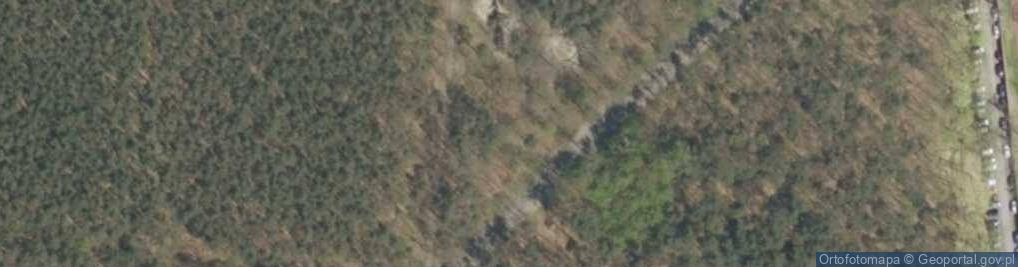 Zdjęcie satelitarne Leśny Plac zabaw