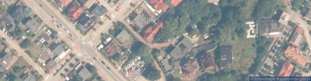 Zdjęcie satelitarne Hortensja