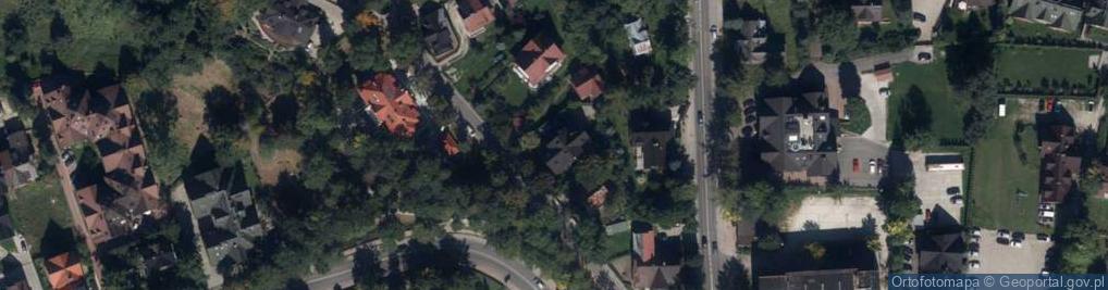 Zdjęcie satelitarne Koci Zamek
