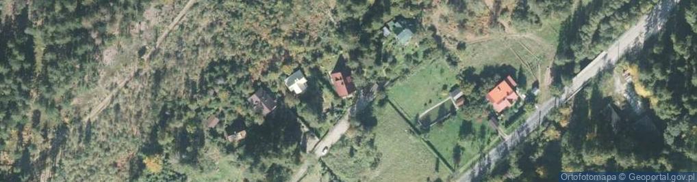 Zdjęcie satelitarne Leśny Dwór