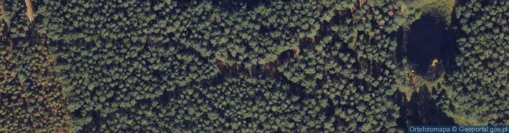 Zdjęcie satelitarne Bratnia mogiła