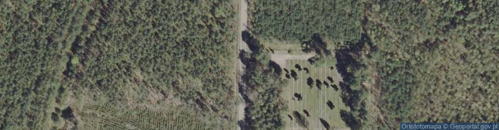 Zdjęcie satelitarne Cmentarz Jeńców Obozu Stalag VIII C w Żaganiu
