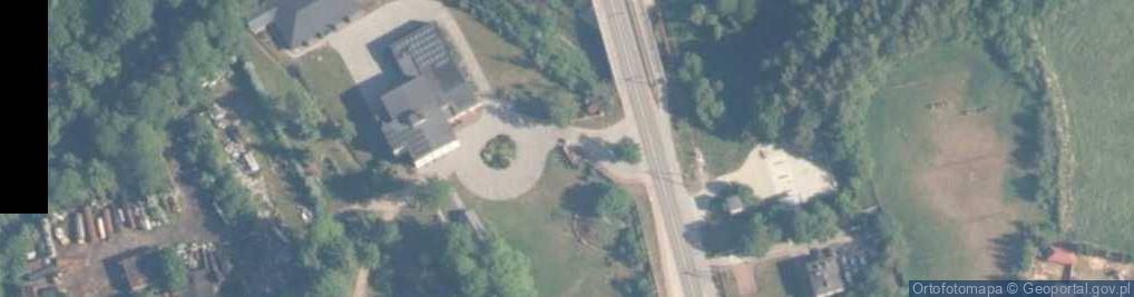 Zdjęcie satelitarne Gustawowi Herlingowi Grudzińskiemu 1919-2000 Wielkiemu Pisarzow