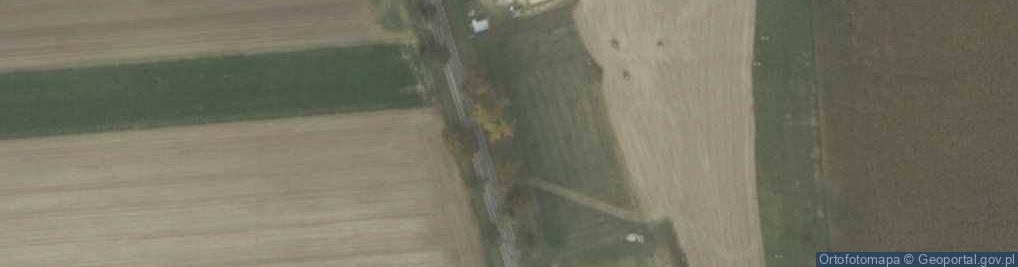 Zdjęcie satelitarne herb Wronki