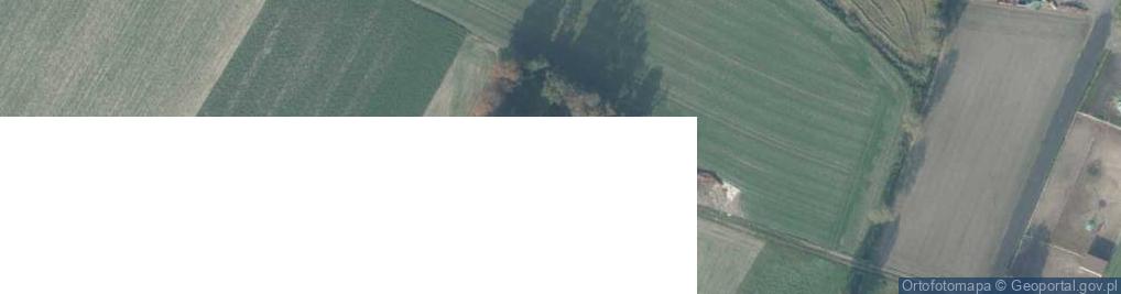 Zdjęcie satelitarne Jezus Jest Zmartwychwstaniem i Życiem