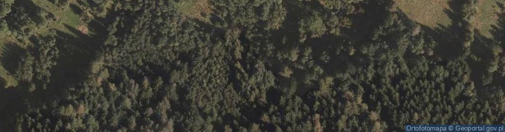 Zdjęcie satelitarne Julius Karl Pintsch