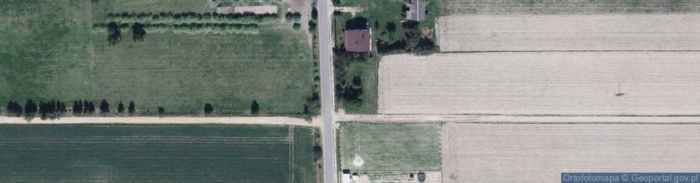 Zdjęcie satelitarne Kalików w styczniu 1943 r. był spacyfikowany za pomoc radziecki