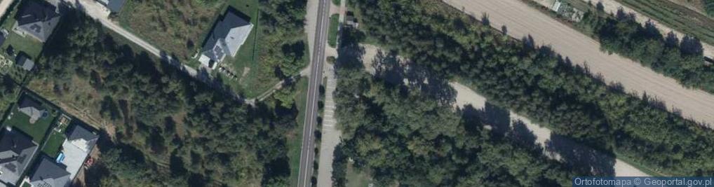 Zdjęcie satelitarne Ku wiecznej chwale Żydów wymordowanych przez nazistów w 1939-19