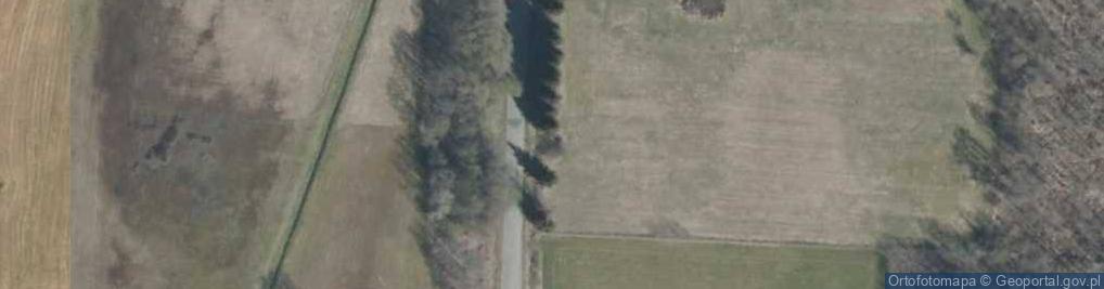 Zdjęcie satelitarne Miejsce straceń ludności wsi Rostki i okolic wymordowanej przez