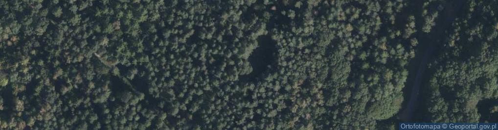 Zdjęcie satelitarne Miejsce Uświęcone Krwią Ofiar Zbrodni Hitlerowskiej w dniach 3-