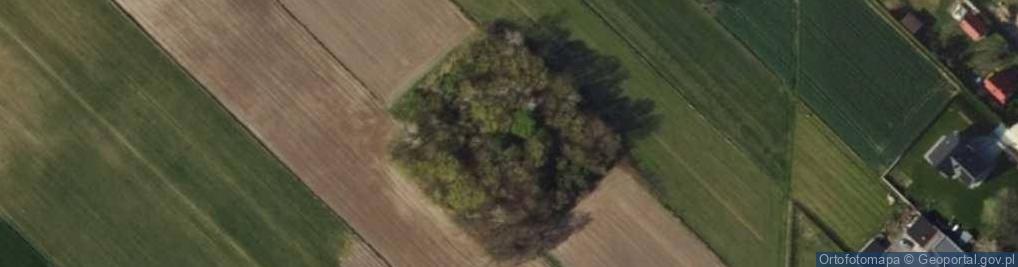 Zdjęcie satelitarne Mogiła