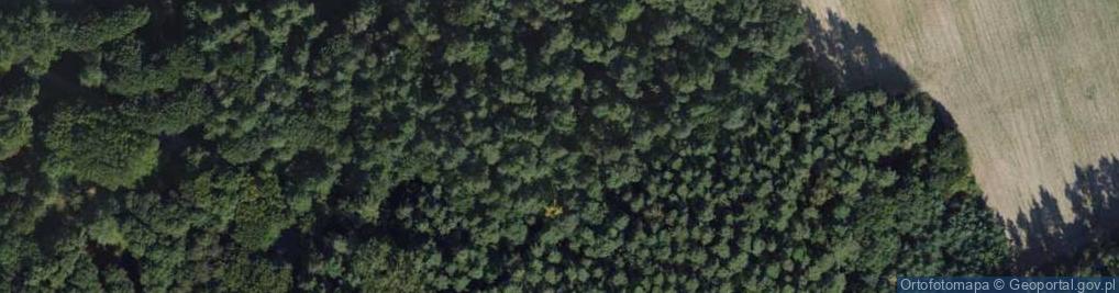 Zdjęcie satelitarne Mogiła