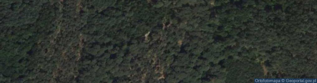 Zdjęcie satelitarne Mogiła