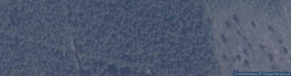 Zdjęcie satelitarne Mogiła