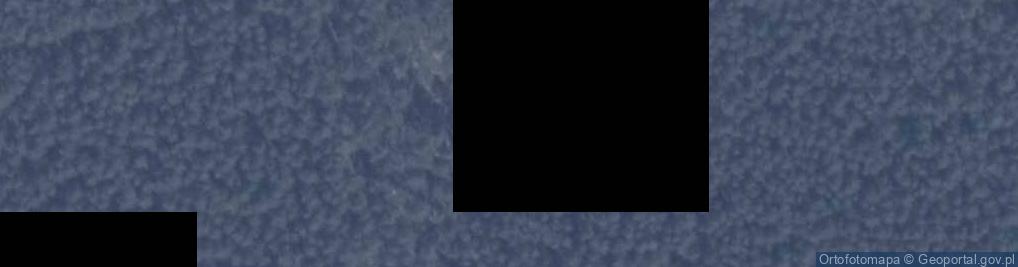 Zdjęcie satelitarne Mogiła