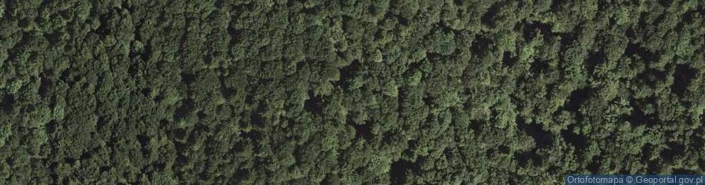 Zdjęcie satelitarne Mogiła