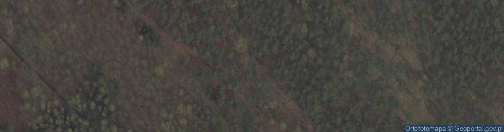 Zdjęcie satelitarne Mogiła