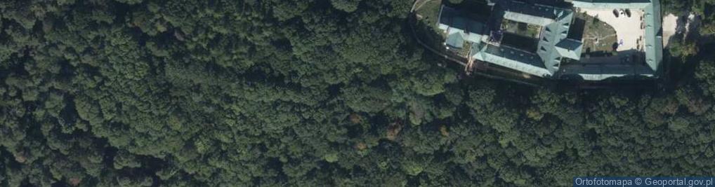 Zdjęcie satelitarne Mogiła