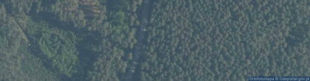 Zdjęcie satelitarne Mogiła