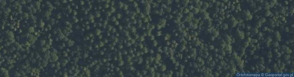 Zdjęcie satelitarne Mogiła