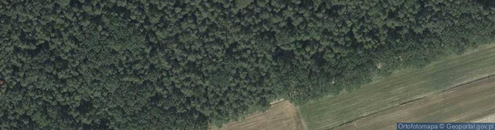 Zdjęcie satelitarne Mogiła