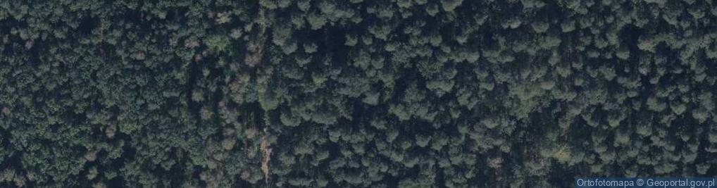 Zdjęcie satelitarne Mogiła