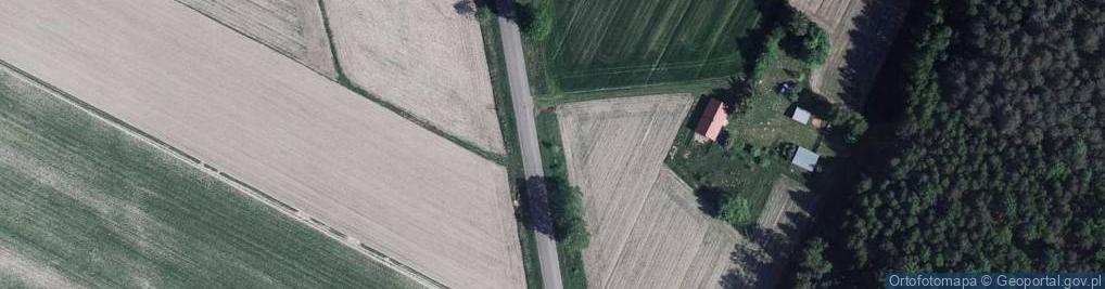 Zdjęcie satelitarne Mogiła