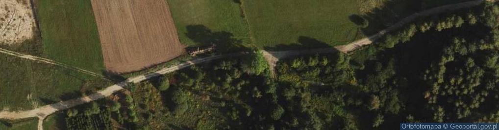 Zdjęcie satelitarne Mogiła