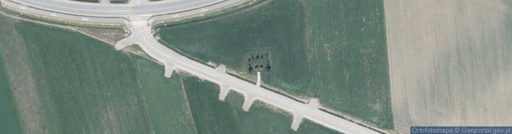 Zdjęcie satelitarne Mogiła