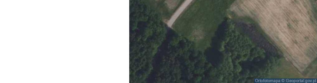 Zdjęcie satelitarne Mogiła