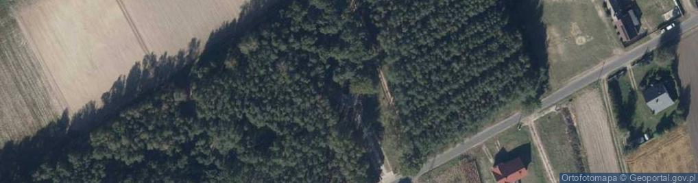 Zdjęcie satelitarne Niezłomnym w obliczu śmierci rodakom straconym w tym miejscu pr