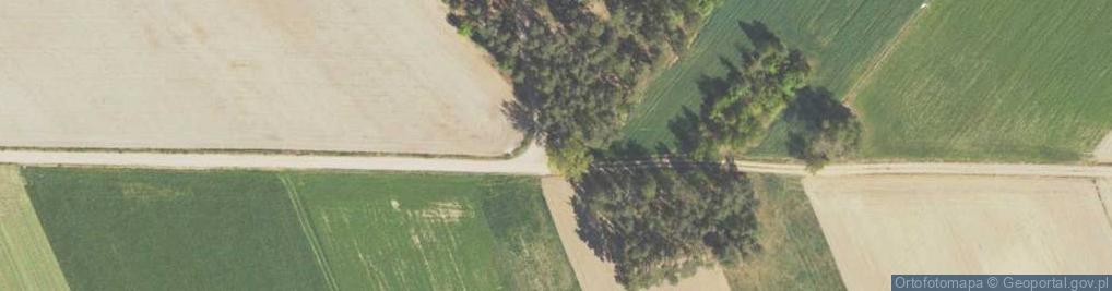 Zdjęcie satelitarne Pamięci 42 ofiar pacyfikacji wsi Nieławice dokonanej przez hitl