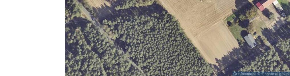 Zdjęcie satelitarne Pamięci członków Polskiej Organizacji Wojskowej z Zagórowa zamo