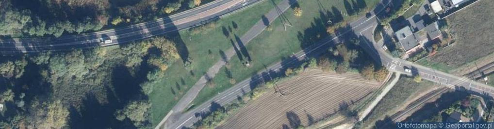 Zdjęcie satelitarne pamięci ofiar zbrodni katyńskiej