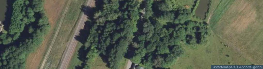 Zdjęcie satelitarne Pamięci Powstańców z 1863 r.
