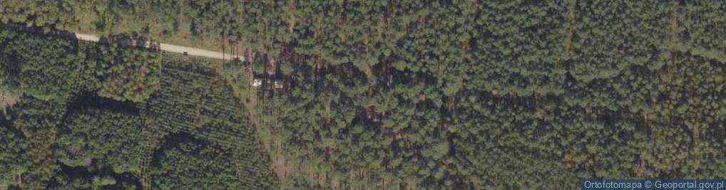 Zdjęcie satelitarne Pamięci zamordowanych w 1939r.