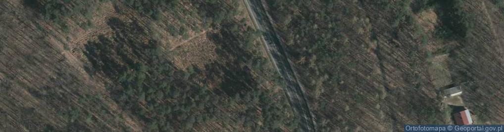 Zdjęcie satelitarne Poległym w walce z UB dn. 22.03.1945r.