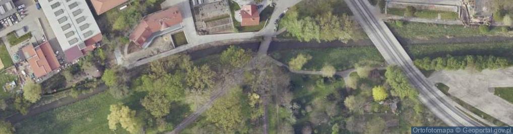 Zdjęcie satelitarne Polski Walczącej