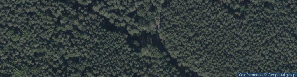 Zdjęcie satelitarne Polsko My Z Twego Zrobili Nazwiska Pacierz Co Płacze I Piorun C