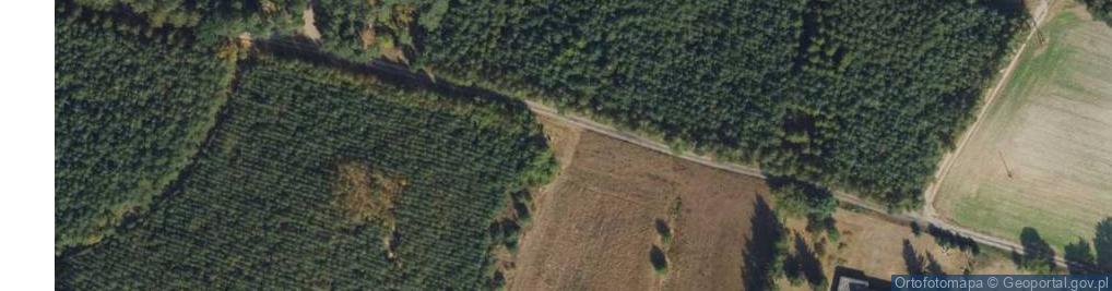 Zdjęcie satelitarne Pomnik 7 polskich żołnierzy zamordowanych w 1939r.