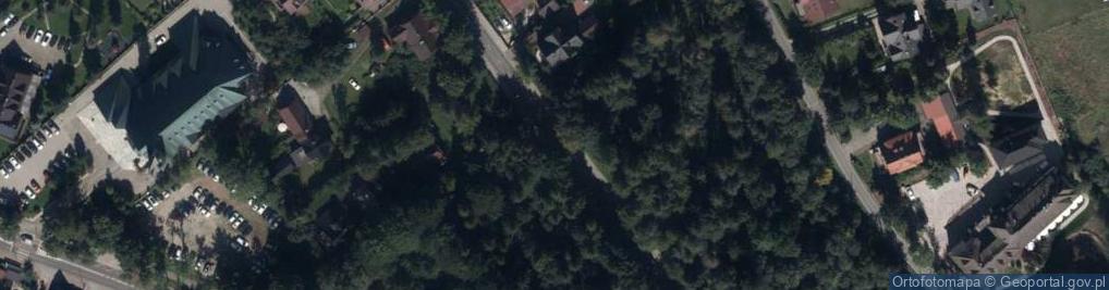 Zdjęcie satelitarne Pomnik Chałubińskiego
