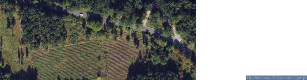 Zdjęcie satelitarne Pomnik ofiar pomordowanych