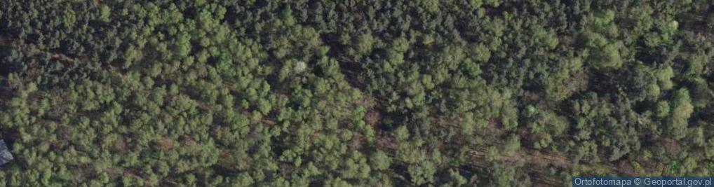Zdjęcie satelitarne Pomnik ofiar terroru komunistycznego, więzionych i zamordowanyc