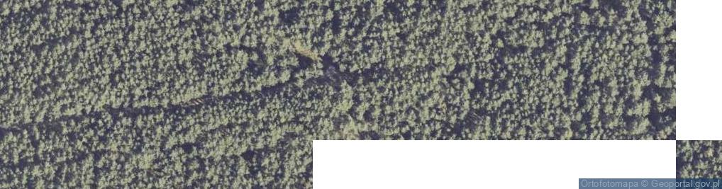 Zdjęcie satelitarne Pomnik Ofiar Zbrodni Hitlerowskiej