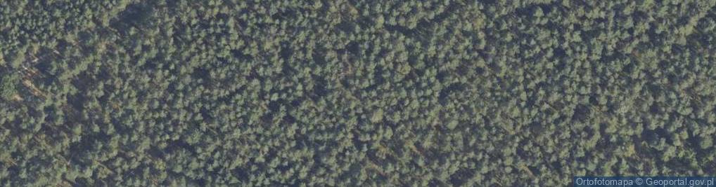 Zdjęcie satelitarne Pomnik pamięci