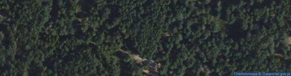 Zdjęcie satelitarne Pomnik POW Borek Lądkowski