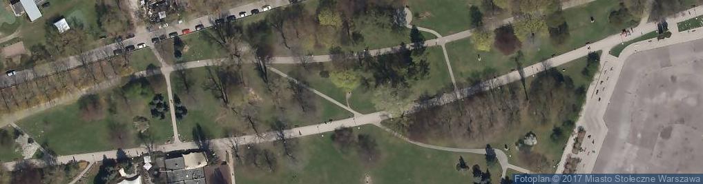 Zdjęcie satelitarne Pomnik Szczęśliwego Psa