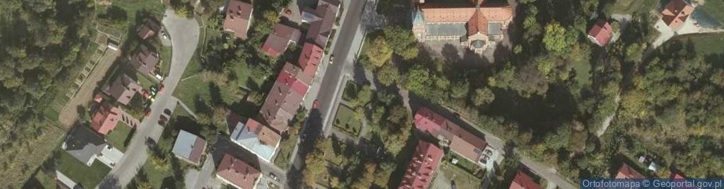 Zdjęcie satelitarne pomnik w hołdzie królowi Władysławowi Jagielle